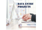 Data entry project provider in Noida