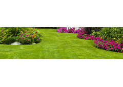 Landscape Gardener Sydney