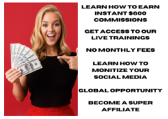 Start earning $300 - $600/day working from home!