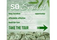 Work Smart: $900 Daily for Just 2 Hours Online!