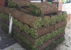 Turf Laying Bilgola | Northern Beaches Garden & Trees