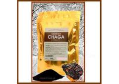 Premium Freeze-Dried Chaga Extract - Bulk & Retail Available