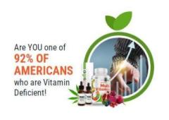 Blueprint for Busy Lives & Tech Beginners!