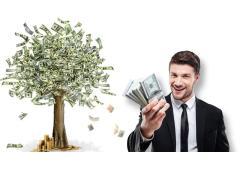 Get Massive Exposure For Your Ads On 1000+ Sites