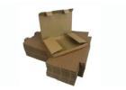 Premium Envelope Packaging Solutions by Packaging Now