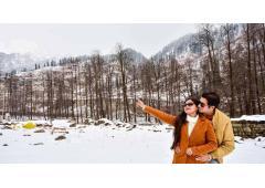 Himachal Honeymoon Tour Packages