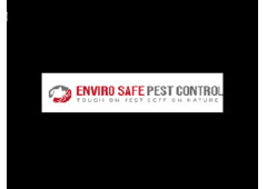 Wasp removal Melbourne