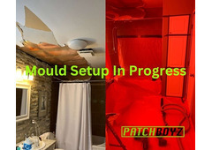 PatchBoyz Mold Removal - Asbestos & Restoration